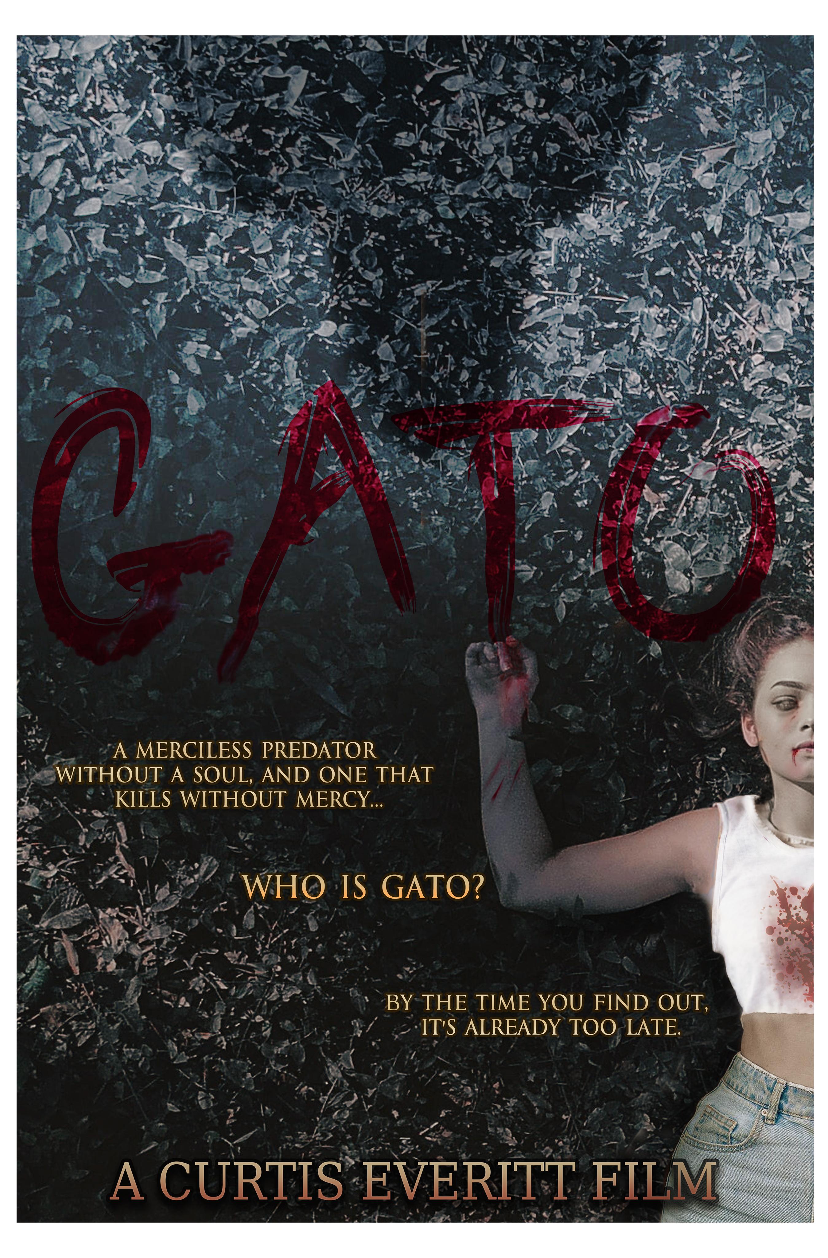 Gato (2020)