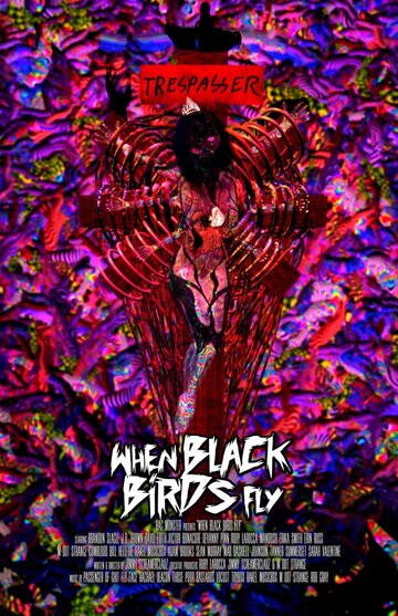 Когда прилетают черные птицы (2016)
